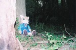 kanefox-gf2