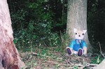 kanefox-gf4