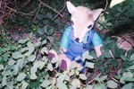 kanefox-gf6