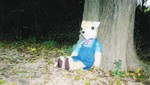 kanefox-hy2