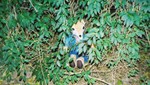 kanefox-hy3