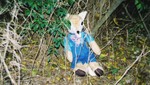 kanefox-hy4