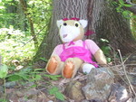 katyfox-gf3