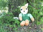 tarufox-gf1