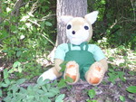 tarufox-gf2