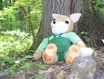 tarufox-gf3