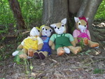 suzettefamily-gf4