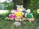 suzettefamily-gf5