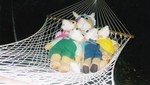 suzettefamily-hy9