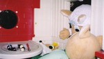 kanefoxwday2004 1
