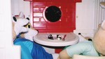 kanefoxwday2004 5